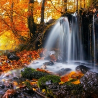 Autumn Waterfall