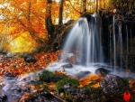 Autumn Waterfall