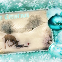 Merry Christmas â™¥â™¥