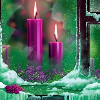 Purple christmas candles