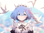 Rem & Birds
