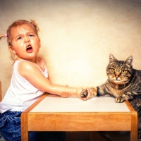 ...and we have a winner!!