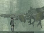 Shadow Of The Colossus