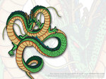shenron