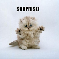 Surprised Kitty 