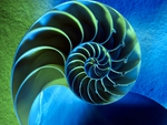 NAUTILUS