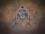 Scarab