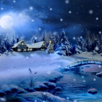 WINTER NIGHT