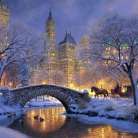 Winter night in central park