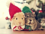 christmas buddies