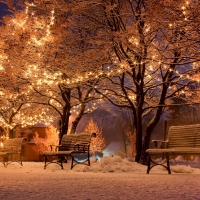 Winter Lights