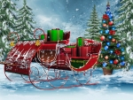 Christmas sleigh
