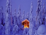 Winter cabin