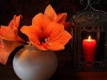 Orange Lily and Candle