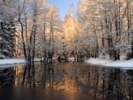 Serene Snowy Lake