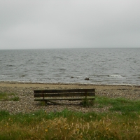 Lonely Bench