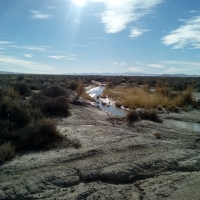 High Desert Beauty