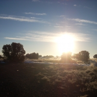 Escape into the Morning Light