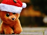 Santa Teddy