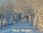 Merry Christmas!