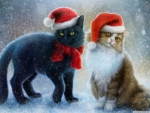 Christmas Cats!