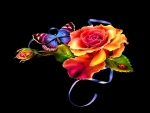 Butterfly and rose