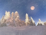 Full Moon on Snowy Night