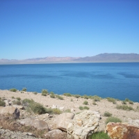 A Lake in the Desert