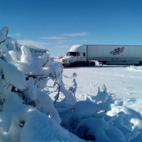 Coming Upon the Dragon