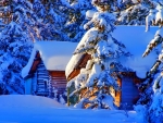 Snowy cottages