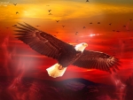 Eagle's Flight