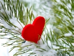 Red Heart in Snow