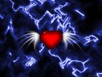 Electric Heart