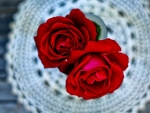 Two Red Roses