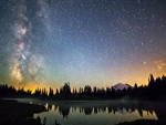 Serene Starry Night