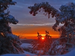 Winter sunset