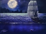 MOONLIGHT SAIL
