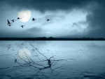 Birds Flying in Moonlight Over the Sea