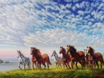 Horses running