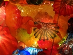 Blown Glass by Chihuly