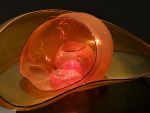 Blown Glass by Chihuly