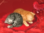 Valentine Kitties
