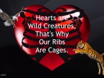 Hearts are Wild Creatures