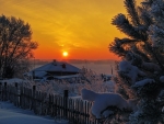 Winter Sunset