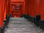 Fushimi Inari Shrine