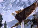 Winter Eagle