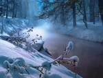 Winter in River