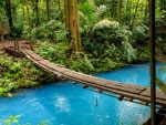 Wooden Bridge