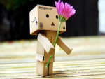 Danbo with Flower