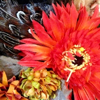 Feathers and Flowers